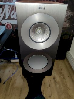 KEF Reference 1 in Silver Satin Walnut 