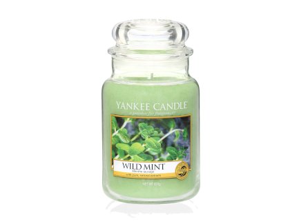 Yankee Candle Wild Mint large Jar