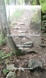 Erzählet SEINE Herrlichkeit - Taschenbuch