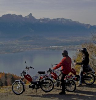 Suche: Töffli - Gratis-inserat.com