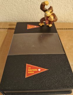Les Routiers Suisses Ladungssicherung