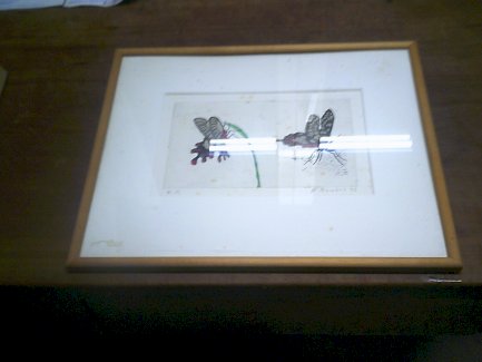 Verschiedene bilder - Gratis-inserat.com