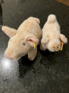 2 steiff schweinchen