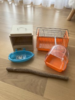 Vögel zubehör - Gratis-inserat.com