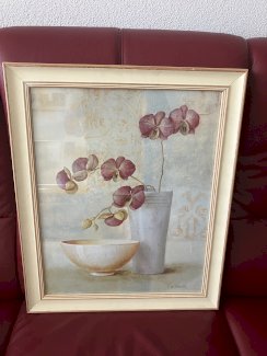 2 Orchideen  Bilder - Gratis-inserat.com