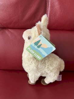 Lama von coop sammlung 
