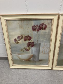 2 Orchideen  Bilder