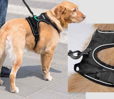 EXA Hundegeschirr mit 2 Ringen - Grösse XL