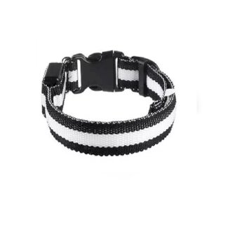 LED Leuchthalsband in Schwarz Grösse S
