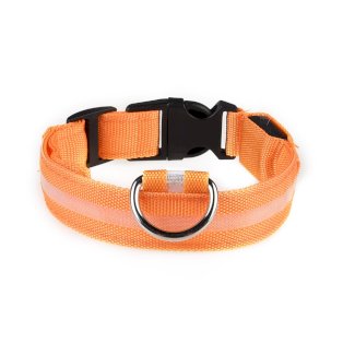 LED Leuchthalsband in Orange Grösse XL