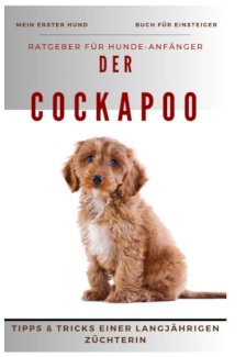 Ratgeber - Der Cockapoo, Cocker Spaniel x Pudel, Rasse