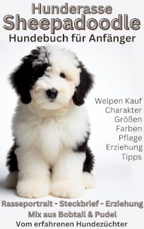 Hundebuch über Sheepadoodle, Doodle Buch