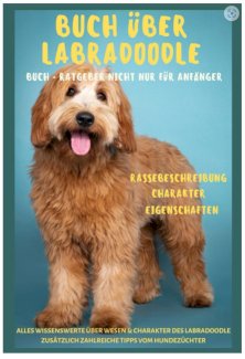 Buch / Ebook über Labradoodle, Doodle Hundebuch