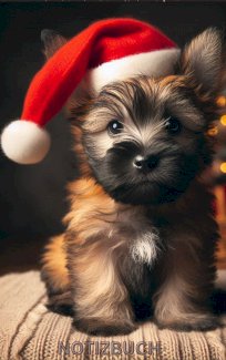 Cairn Terrier Weihnachten Notizbuch, Geschenk, Gift,Dog