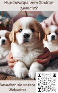 Hundeverein / Hundezuchtverein, Der HVD e.V. nimmt ...