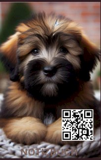 Briard Welpen Notizbuch, Buch: Geschenk für Hunde