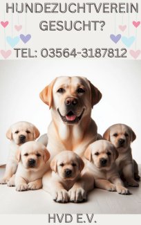 Hundezuchtverein gesucht? Verein deutscher Hundezüchter