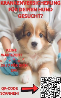 Warum eine Hundekrankenversicherung unverzichtbar ist:  - Gratis-inserat.com