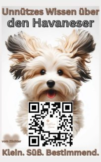 Rassehund Havaneser Lustiges Hundebuch v Kathleen Baron - Gratis-inserat.com