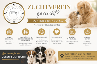 Hundeverein f. Hundezüchter Zuchtverein Hunde Zucht HVD