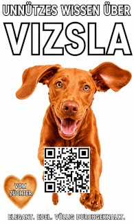 Vizsla Welpen Erstausstattung Buch Geschenk f. Besitzer