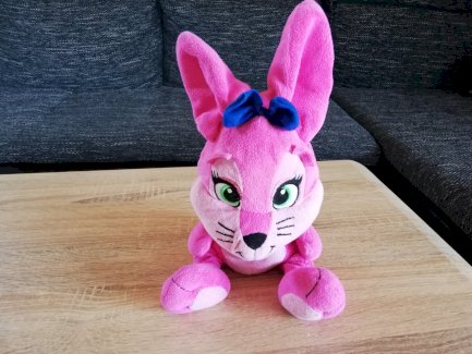 Roses Hase Sunny - Gratis-inserat.com