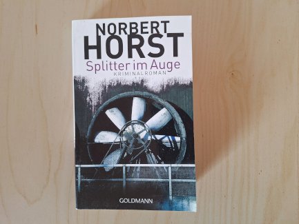 Splitter im Auge. Kriminalroman
