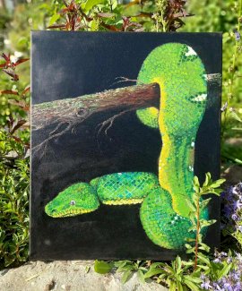 Oelbild Schlange Reptil boa handgemalt - Gratis-inserat.com