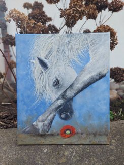 Pferd Reiten handgemalt, Oelgemalde - Gratis-inserat.com