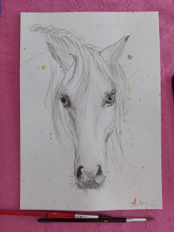 Pferd Aquarelle handgemalt.