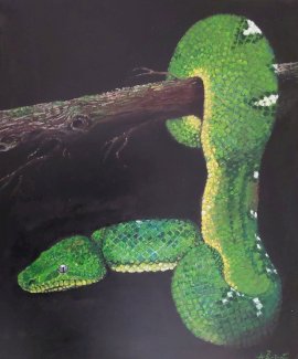 Gemaelde Schlange neu, von Kunstler direkt