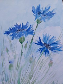 Kornblumen Aquarelle handgemalt