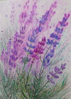 Lavende Aquarelle Neu.