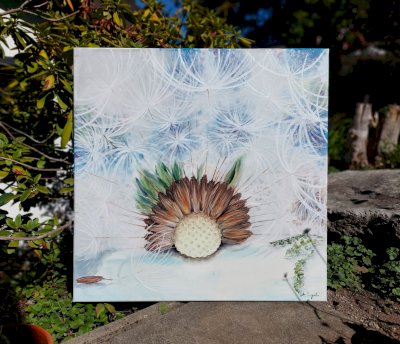 Grosse Pusteblume, neue Oelgemaelde