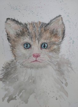 Katze Aquarelle
