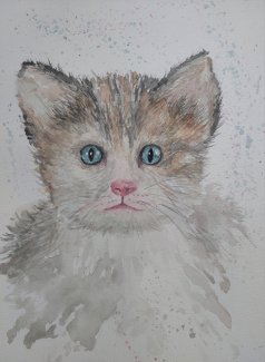 Katze Aquarelle - Gratis-inserat.com