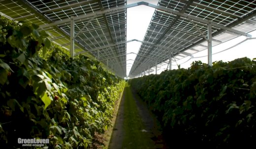 Umwelt-Projekt mit hoher Rendite auf der Insel Martiniq - Gratis-inserat.com