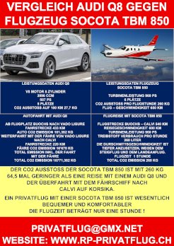 VERGLEICH PRIVATFLUGZEUG VS AUDI Q8