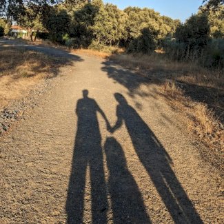 Erfahrung mit Partnerrückführung 