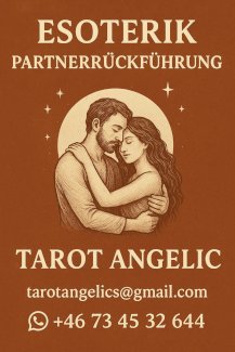 Schnelle Partnerrückführung