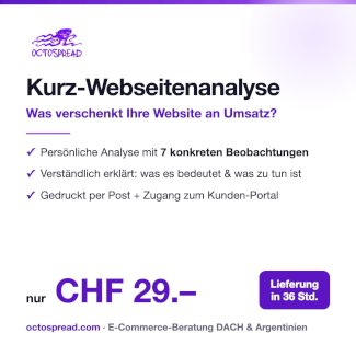 Onlineshop verkauft zu wenig? Webseiten-Analyse 29 CHF