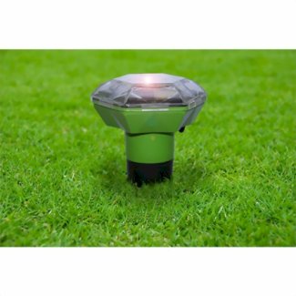 Wühlmaus und Maulwurf im Garten, Rasen und Wiese bekämpfen.