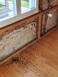 Fliegenbekämpfung im Restaurant und Haushalt.