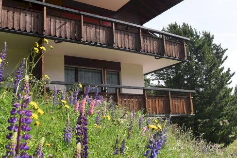 Ferienwohnung in Arosa